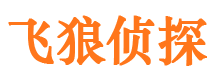 宣州市私家侦探